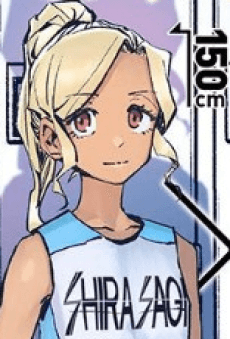 Ibis Akikaze