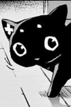 Koma