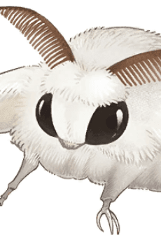 Blanca