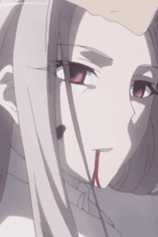 Einzbern Master