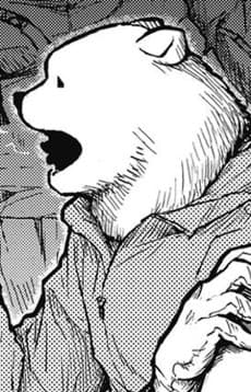 Hachi Bearman