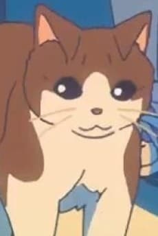 Neko Tofu