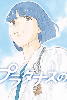 Mako Suzukake