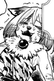 Matatabi