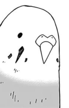 Pii-chan