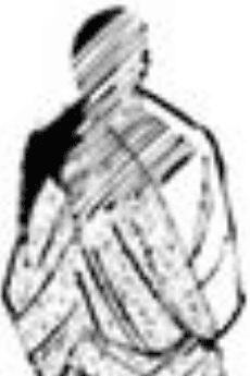 Gnaeus Ahenobarbus