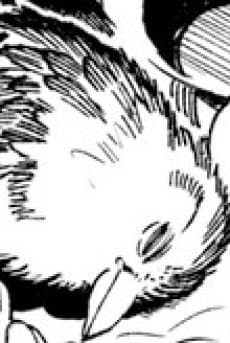 Tsuzura