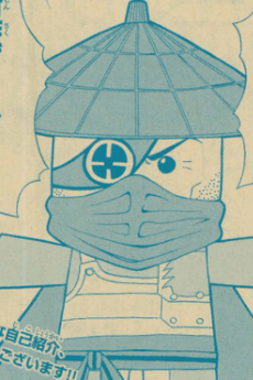 Ronin