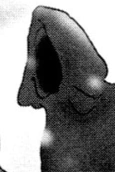 Nen no Nezumi