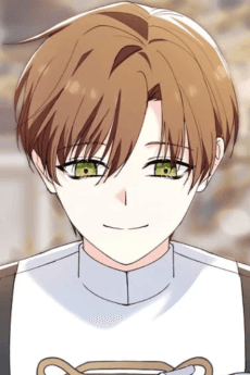 Dioren Gray