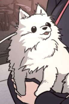 Ttui