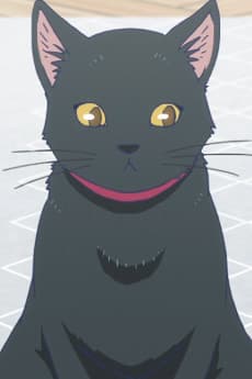 Kuro Neko