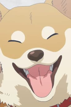Kinako