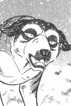 Buru