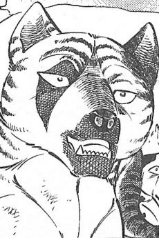 Harutora