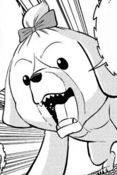 Maruchi