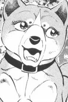 Chako