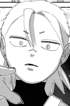 Kota