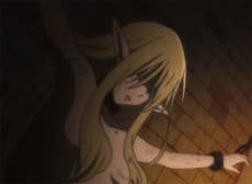 Hitojichi Yousei Teisatsu