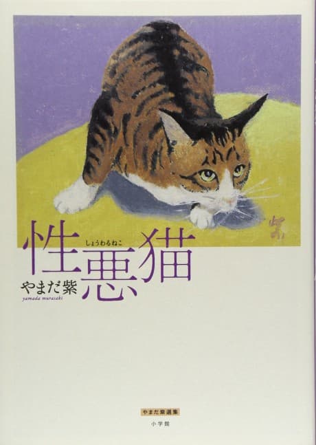 Sassy Cats