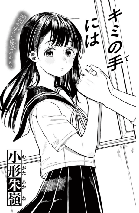 Kimi no Te ni wa