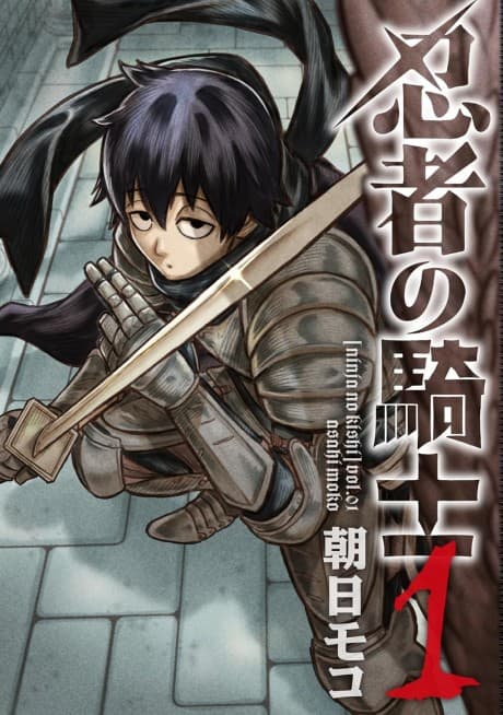 The Ninja Knight