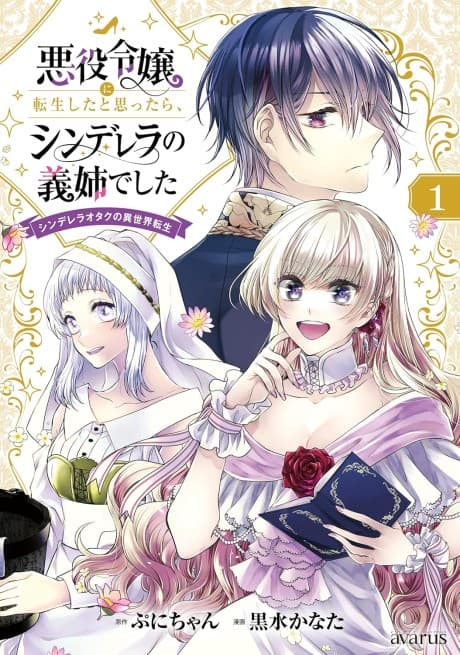 I Thought I was Reincarnated as a Noble Villainess, but I Actually Ended up as Cinderella's Older Stepsister A Cinderella Otaku's Isekai Reincarnation