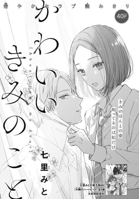 Kawaii Kimi no Koto