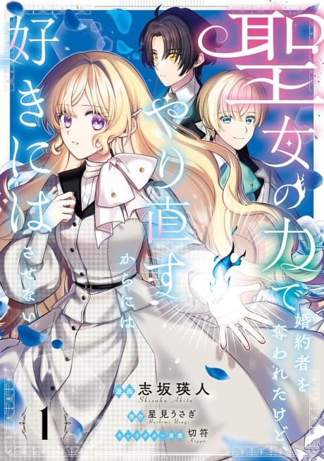 Seijo no Chikara de Konyakusha wo Ubawaretakedo, Yarinaosu kara ni wa Sukini wa Sasenai