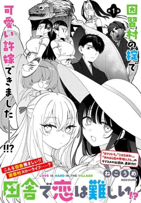 Inaka de Koi wa Muzukashii?!