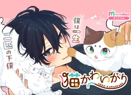 Neko Kawaigari