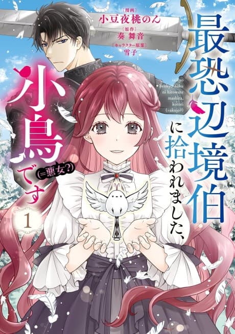 Saikyou Henkyou Haku ni Hirowaremashita, Kotori (=Akujo?) desu