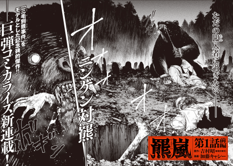 Kuma Arashi