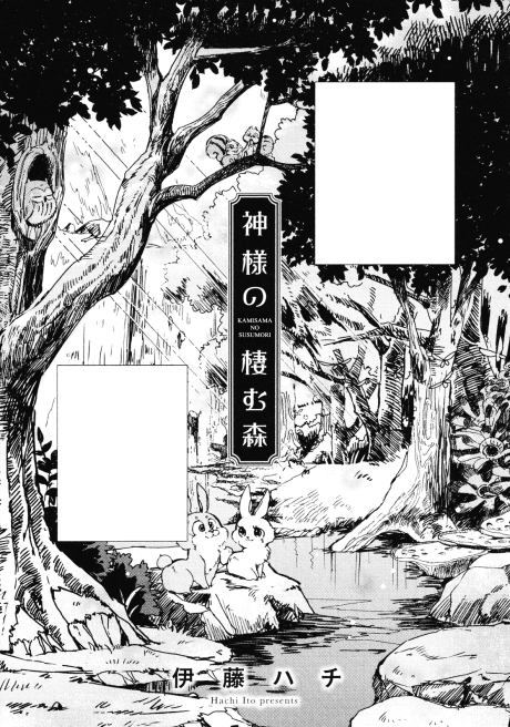 The Forest Where the Goddess Lives