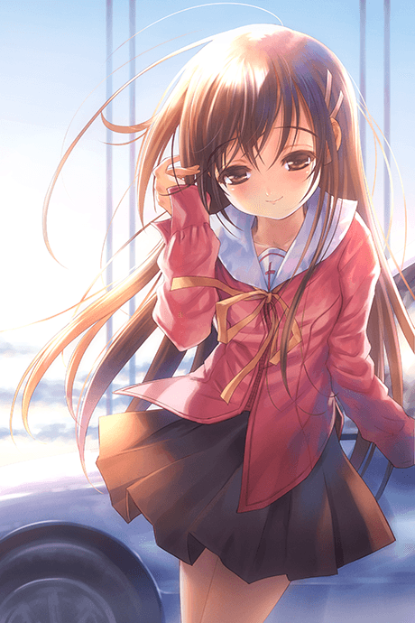 Narcissu