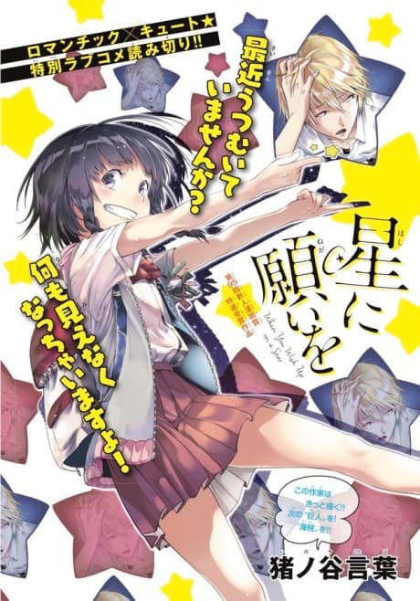Hoshi ni Negai wo