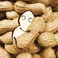 Katsura Ise