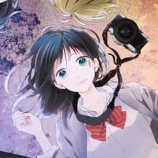 Youko Nogiri
