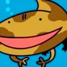 Salamander