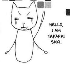 Saki Takarai