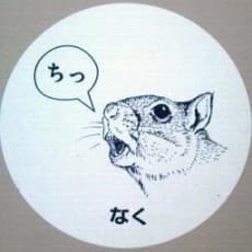 Sankichi Meguro