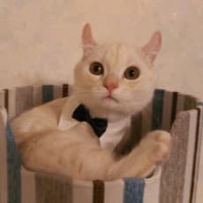 Nekoyashiki Nekomaru