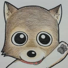 Hachi Mizuno