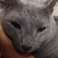Kurou Ooma