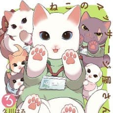 Haru Hisakawa