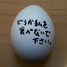 Shichio Kuzu