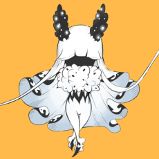 Ran Yamano