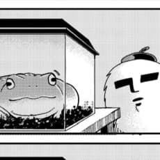 Marimo Enda