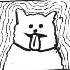 Tokushige  Kawakatsu