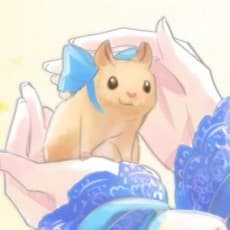Chinoku